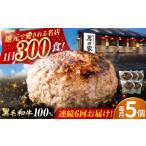 肉 ハンバーグ 6回定期便 黒毛和牛100%