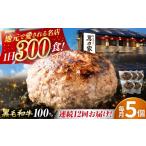 肉 ハンバーグ 12回定期便 黒毛和牛100%