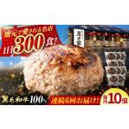 肉 ハンバーグ 6回定期便 黒毛和牛100%
