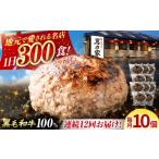 肉 ハンバーグ 12回定期便 黒毛和牛100%