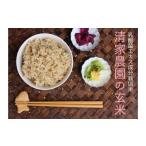 玄米 令和7年産 清家農園 錦米 にこまる 玄米10kg