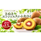 果物類 訳あり さぬきエンジェルスイートキウイ 約1.5kg