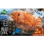 ふるさと納税 カニ 毛ガニ 北海道 森町  12月発送 訳あり 北海道・噴火湾産冷凍ボイル毛ガニ約300g前後×2尾 新物 2025年6月〜7月水揚げ 毛ガニ 毛カニ 蟹 か…