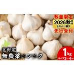 野菜類 予約受付 無農薬ニンニク“Sサイズ”1kg 500g×2袋