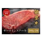 牛肉 サーロイン 能登牛 サーロインステーキ 240g