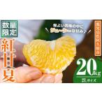ふるさと納税 みかん・柑橘類 鹿児島県 阿久根市  先行予約受付中 2026年3月中旬以降順次発送予定 数量限定 鹿児島県産 紅甘夏 (20kg・2L) 柑橘 フルーツ 果物…