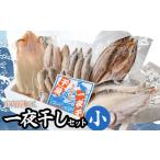 旬の鮮魚等 庄内浜加工 一夜干しセット 小