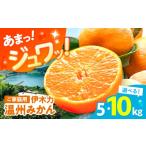 伊木力温州みかん5kg ご 箱入り 伊木力