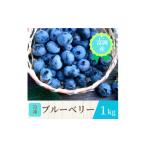 果物類 富岡産冷凍ブルーベリー