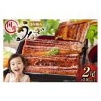 ふるさと納税 うなぎ 宮崎県 日向市 うなぎ 国産 日向極み うなぎ蒲焼 2尾 計240g以上 たれ・山椒付き 日向サンパーク 宮崎県 日向市 452061502 ギフト 小分け…