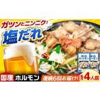 豚肉 ホルモン 6回定期便 産豚もつの鉄板焼き