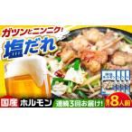 豚肉 ホルモン 3回定期便 産豚もつの鉄板焼き