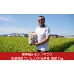 ふるさと納税 米 コシ