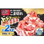 豚肉 炒め物 6回定期便 使い勝手 長崎うずしおポーク
