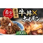 牛肉 ホルモン 肉 冷凍 愛姫牛 肉屋のこだわりお惣菜セット