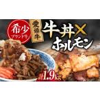 牛肉 ホルモン 肉 冷凍 愛姫牛 肉屋のこだわりお惣菜セット