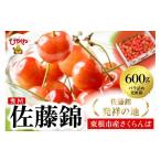 ふるさと納税 果物類 