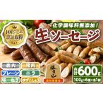 ハム ソーセージ ハンバーグ 無添加生ソーセージ&無添加ジ…