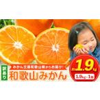 ふるさと納税 果物類 みかん 和歌山県 紀の川市 みかん 人気ランキング ランクイン みかん王国和歌山よりお届け 訳ありみかん サイズ不選別 選べる内容量 お試…