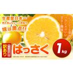 みかん 柑橘類 見た目は訳あり中身は変わらぬ美味しさ