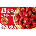 ふるさと納税 いちご 栃木県 茂木町 いちご 「茂木完熟いちご」第1回いちご選手権金賞 とちあいか 大粒 約270g × 4パック 合計 約1080g 3月以降発送 | いちご…