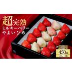 ふるさと納税 いちご 栃木県 茂木町  先行受付：3月以降発送 いちご 鈴木ファーム ギフト やよいひめ×ミルキーベリー 450g ×1箱 | いちご イチゴ 苺 やよい…