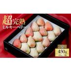 ショッピングふるさと納税 いちご ふるさと納税 いちご 栃木県 茂木町  先行受付：3月以降発送 鈴木ファーム厳選『幻のミルキーベリー』ギフト 450g×１箱 | いちご イチゴ 苺 ミルキーベリー …