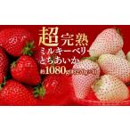 ふるさと納税 いちご 栃木県 茂木町  先行受付：3月以降発送 いちご 鈴木ファームの とちあいか ＆ ミルキーベリー 紅白MIX 各270g×2パック 合計1080g | いち…