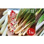 野菜類 農家直送 島袋さんの採れたて島らっきょう1kg_島ら…