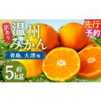 特産 温州みかん 約5kg