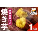 野菜類 サツマイモ 受付中 予定 焼き芋 熟成紅はるか 1kg