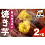 野菜類 サツマイモ 受付中 予定 焼き芋 熟成紅はるか 2kg