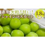 ふるさと納税 ぶどう マスカット 山梨県 笛吹市 2026年発送 先行予約 農園直送 シャインマスカット 約1.8g(2〜3房入り) 109-018-26y 2026年発送