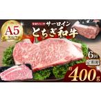 牛肉 サーロイン 共通返礼品 定期便6回 宮福笑牛