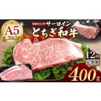 牛肉 サーロイン 共通返礼品 定期便12回