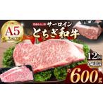 牛肉 サーロイン 共通返礼品 定期便12回