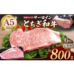 牛肉 サーロイン 共通返礼品 定期便6回 宮福笑牛