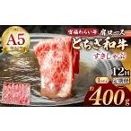 牛肉 しゃぶしゃぶ 共通返礼品 定期便12回