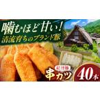 豚肉 産結旨豚串カツ 40本