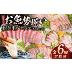魚貝類 鯛 6ヶ月定期便 冷蔵 お届け 結城水産
