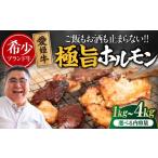 牛肉 ホルモン 肉 冷凍 愛姫牛 肉屋のこだわりお惣菜