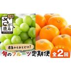 果物の詰合せ 定期便 2回 鹿島からお届けフルーツ定期便