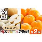 果物の詰合せ 定期便 2回 鹿島からお届けフルーツ定期便
