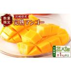 ショッピングふるさと納税 マンゴー ふるさと納税 マンゴー 宮崎県 新富町  数量限定 宮崎県産 完熟マンゴー2L×3玉（計1kg以上） 2026年4月下旬配送開始 化粧箱入 フルーツ くだもの D147