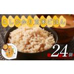 ふるさと納税 玄米 大阪府 松原市 こしひかり 玄米ごはんパック 160g 24個 玄米 米 ごはん ご飯 こめ パックライス パックご飯 パックごはん ご飯パック ごは…