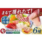 旬の鮮魚等 超速冷凍鮮魚6種 5種+焼物用1種