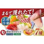 旬の鮮魚等 超速冷凍鮮魚7種 5種+焼物用2種