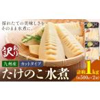 野菜類 訳あり たけのこ 水煮 カットタイプ