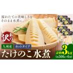野菜類 訳あり たけのこ 水煮 カットタイプ
