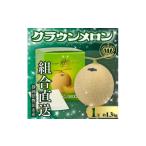 ふるさと納税 メロン 静岡県 磐田市 組合直送 静岡が誇る温室高級マスクメロン「クラウンメロン」1玉(約1.3kg)9月〜2月 1660347